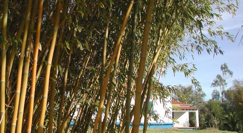 Holiday Homes in Zambujeira do Mar