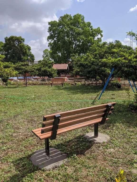 Mango Tree Farm