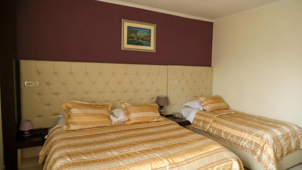 Hotel Consul