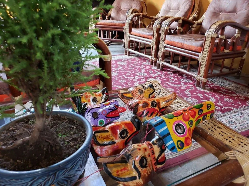 Parrot House