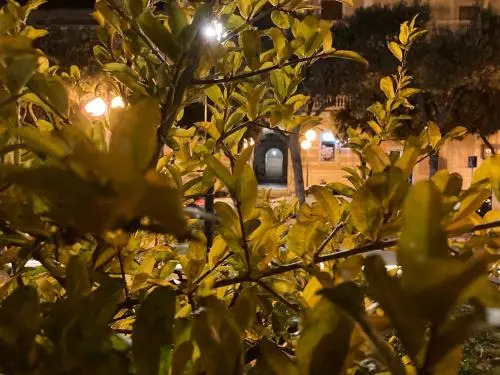 Ci Vediamo a Casa