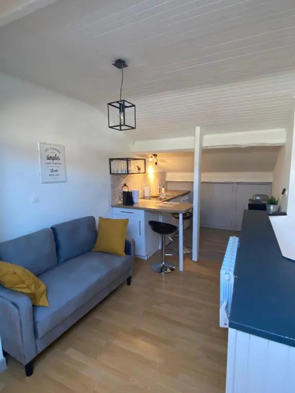 Les Cosy de Nancy - Le Nid Douillet - 4* (Adults Only)