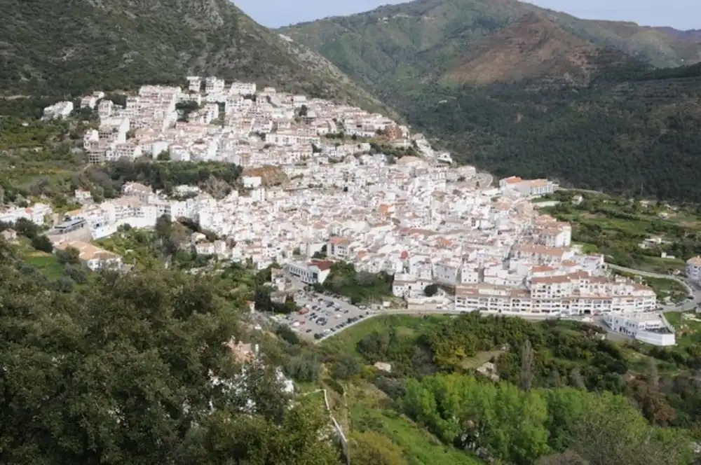 Benavista Ojen
