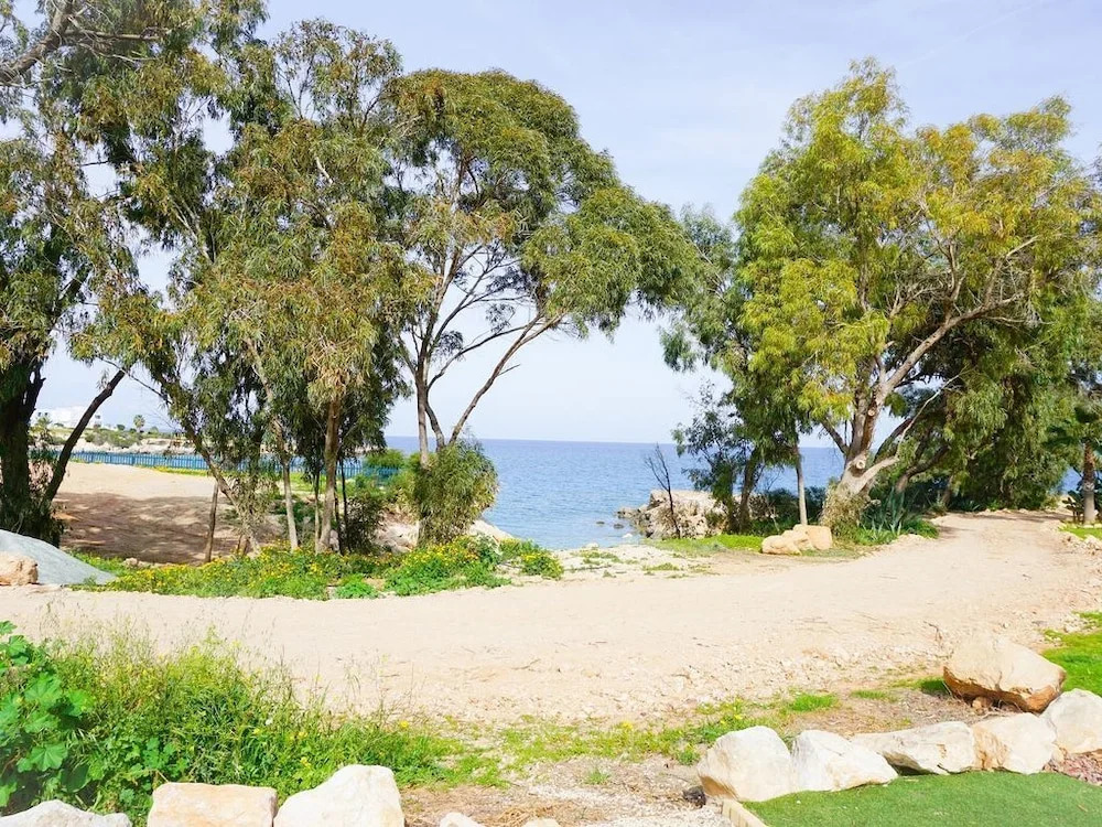 Beach Front Bella Vista by Ezoria Villas