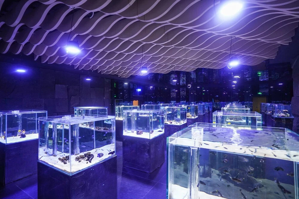 Sanya Discovery Ocean World