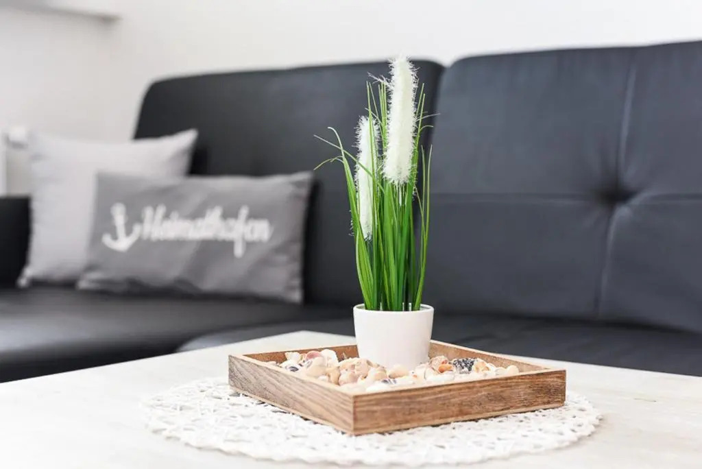 Ferienwohnung Haus Boje "Knurrhahn" - a50288