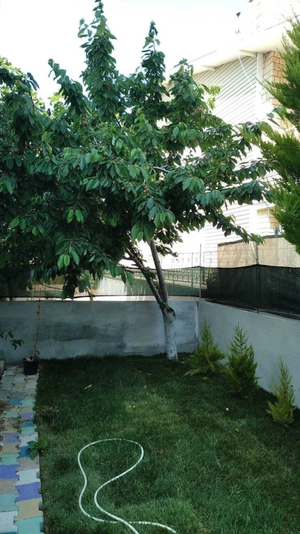 Ceylan Apart Avşa