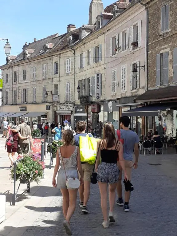 Appartement 48m2 pour 6 personnes au centre ville historique avec parking gratuit et une borne de recharge pour voiture à 10 metres