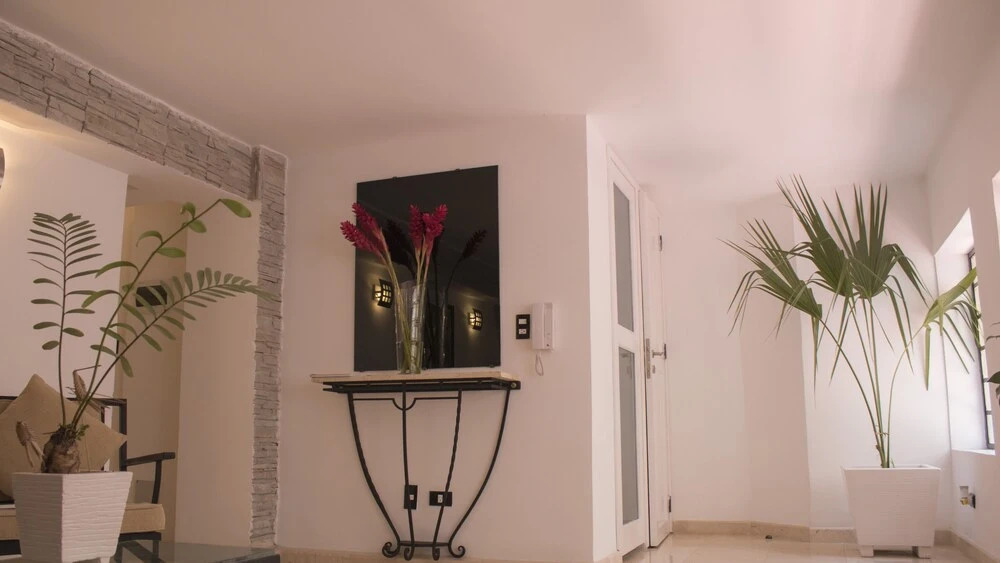 Historical Center Area Apartment