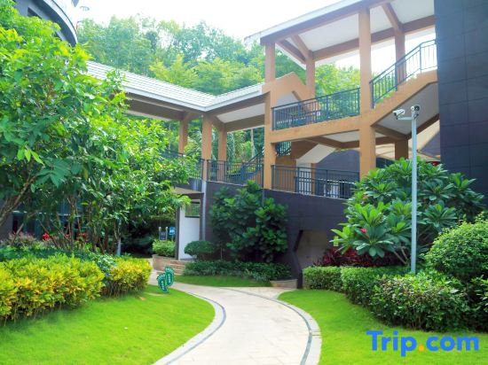 Rendi Mountain Rainforest Hotel