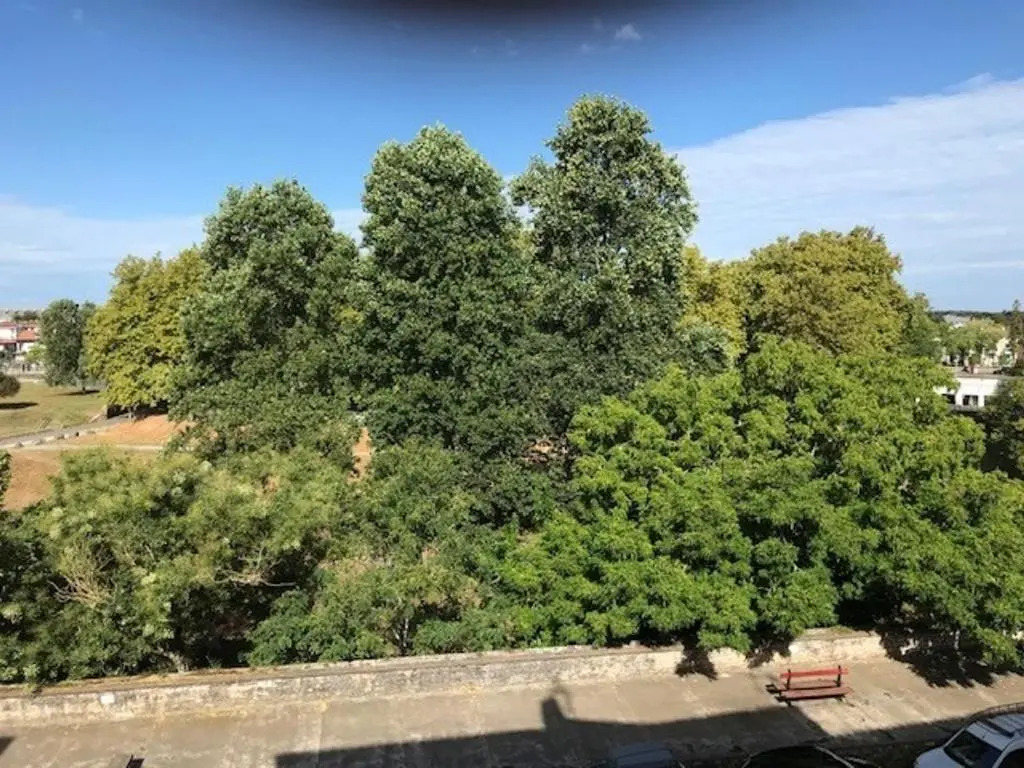 Appartement Bayonne, 3 pièces, 6 personnes - FR-1-239-709