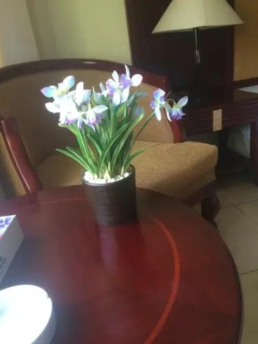 Ya Hala Furnished Appartment