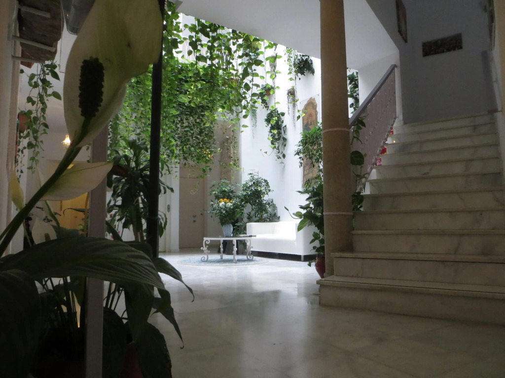 Un Patio al Sur