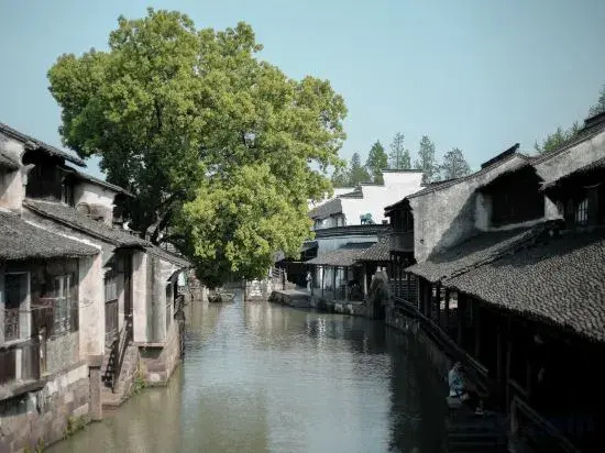 Wuzhen Autumn Joy Art Hotel
