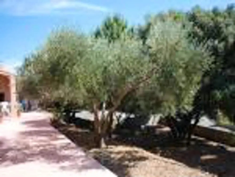 Villa With 3 Bedrooms in Eyragues, With Private Pool, Enclosed Garden