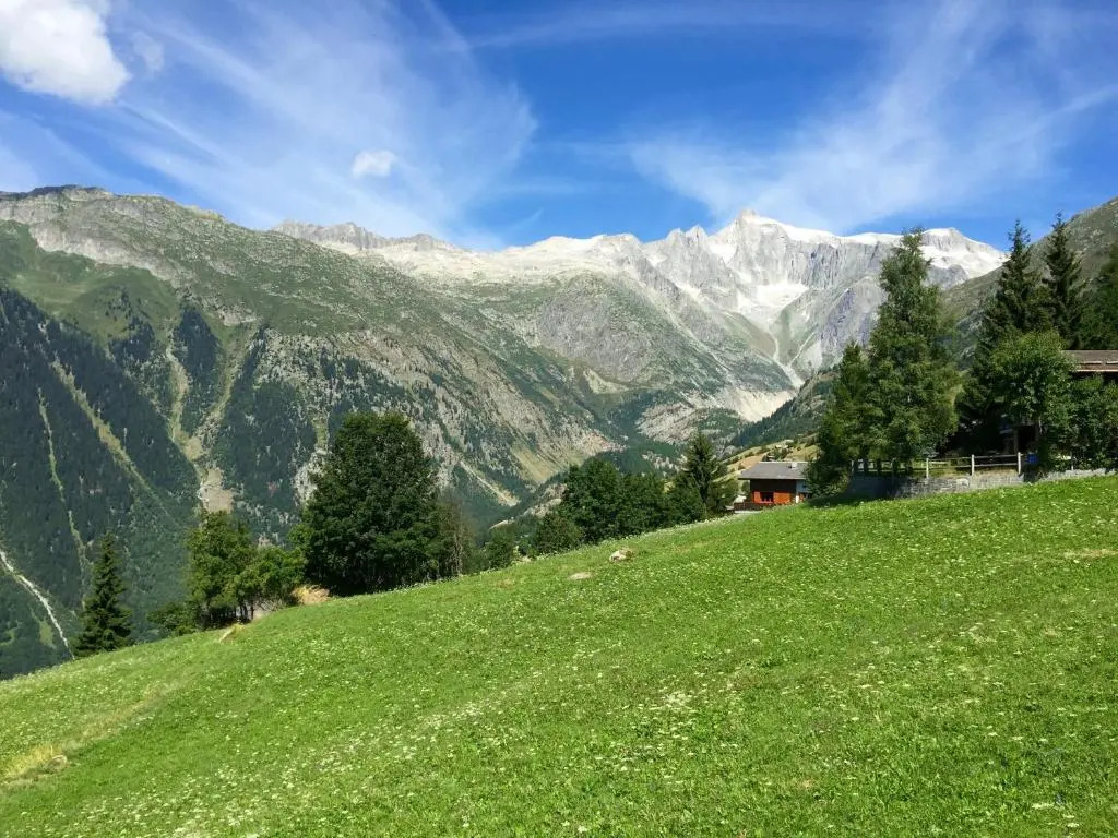 Waldhuesli