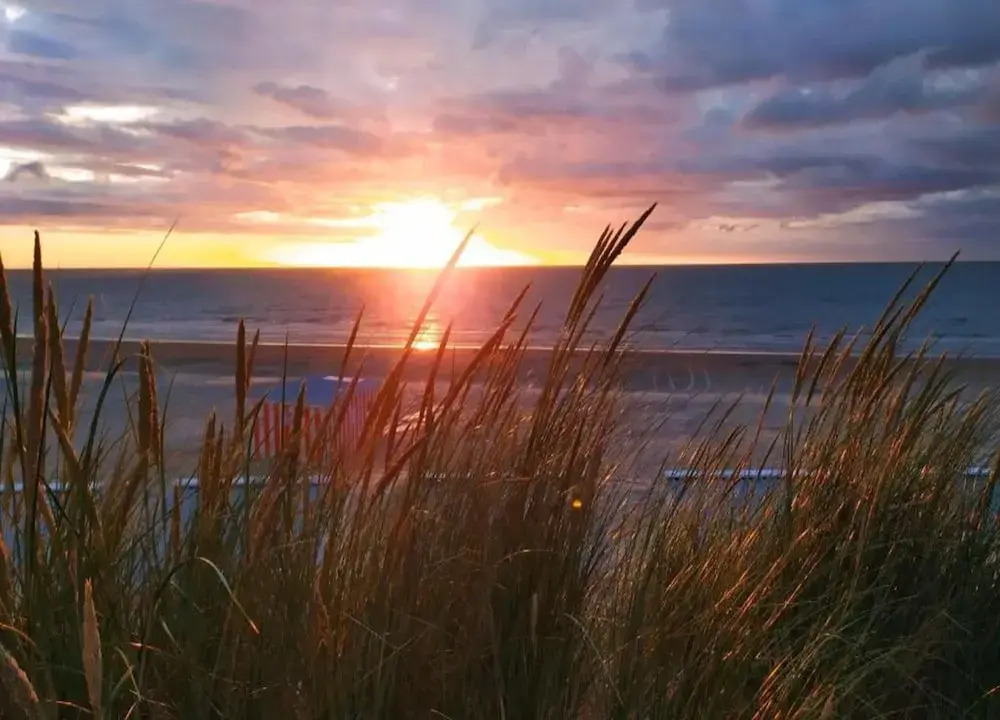 Apartment in Koksijde near the Sea