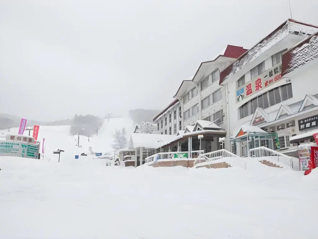 Ikenotaira Shirakaba Kogen Hotel