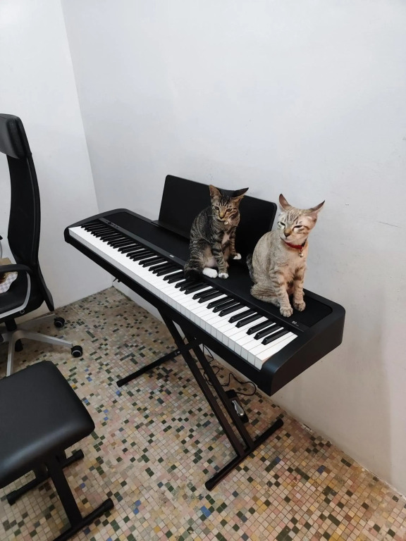 Digital Nomad House KL Bukit Bintang - 24&7 Coworking Access Included