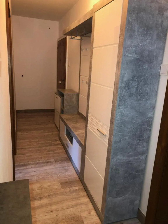 Ski and Lake View Apartment