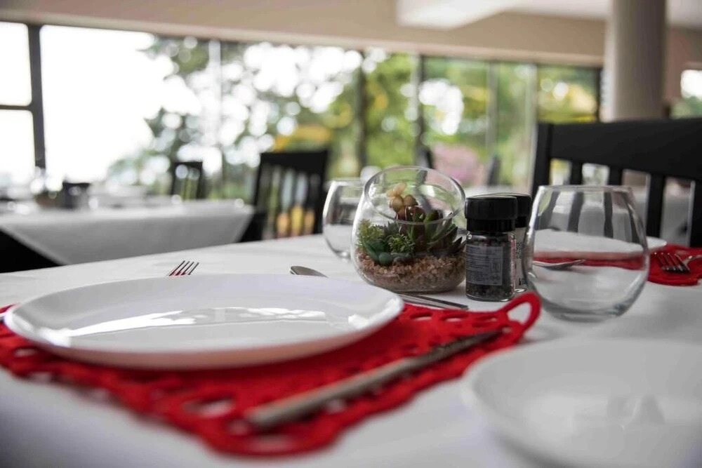 Palmwood Guest House