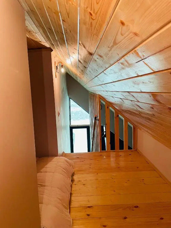 Snow Forest Bakuriani Apartment 17B