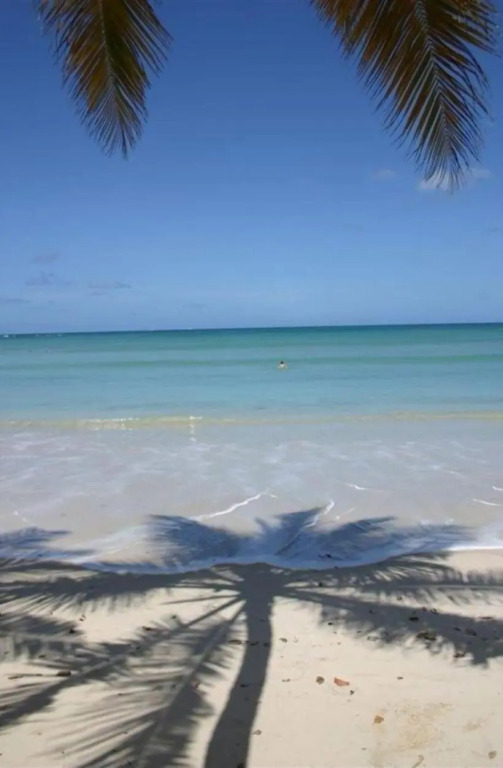 T2 Les pieds dans l'eau face à la mer des caraïbes Sainte Luce - Trois Rivières