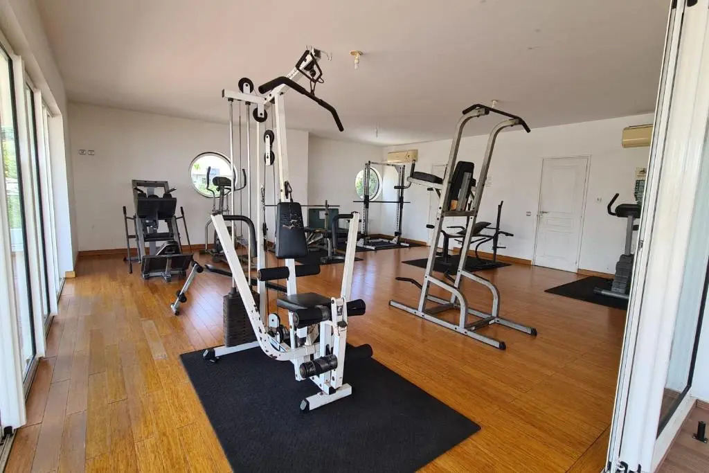 Teava apartment