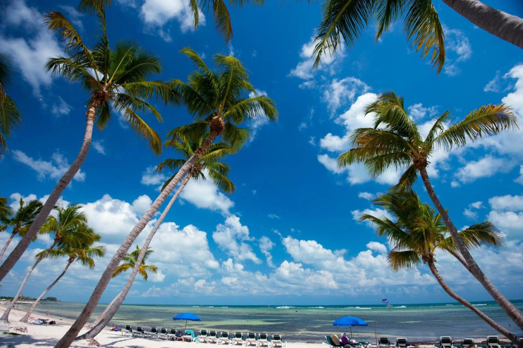 Frost Free at 1800 Atlantic Cayo Hueso C439