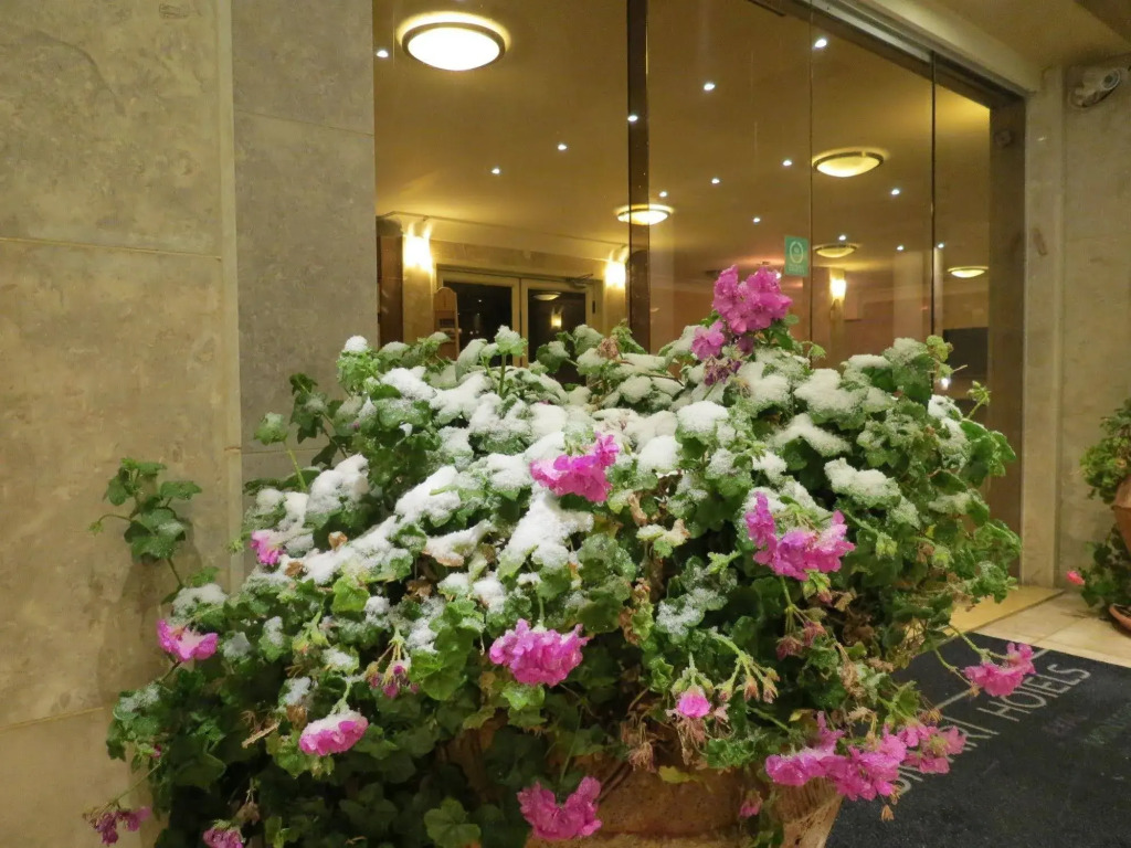 Ramon Suites by Smart Hotels