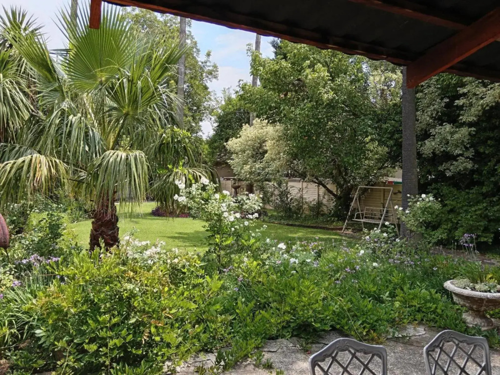 Palms Lodge