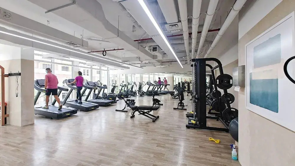 Phenomenal Studio in Luma 21