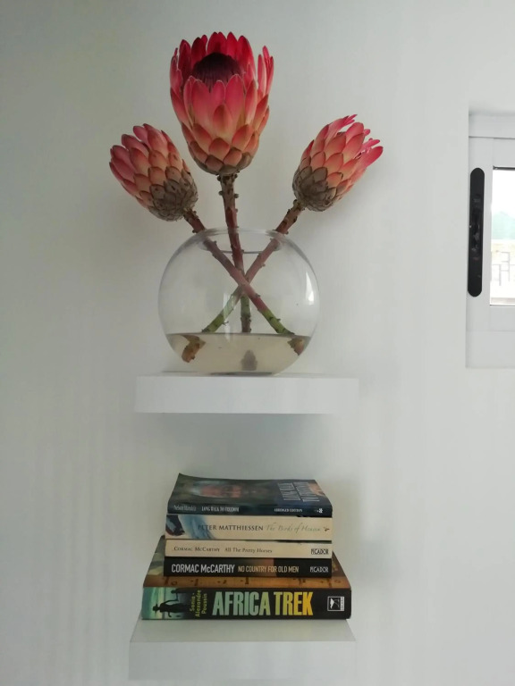 Shells Corner Cottage