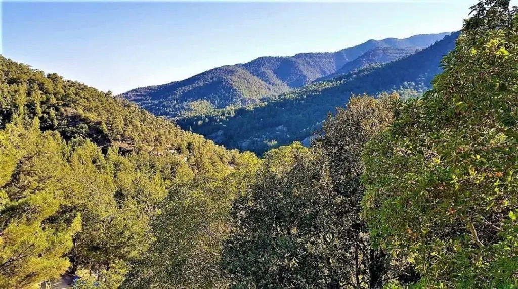 The Cosy Mountain Cabin with Stunning Views near Troodos