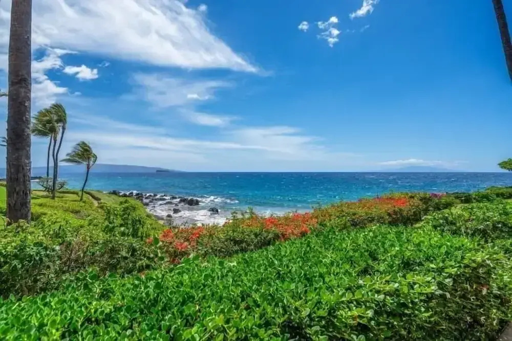 Makena Surf, #g-101 2 Bedroom Condo by RedAwning