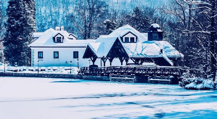 Hotel Bor & Grad Hrib