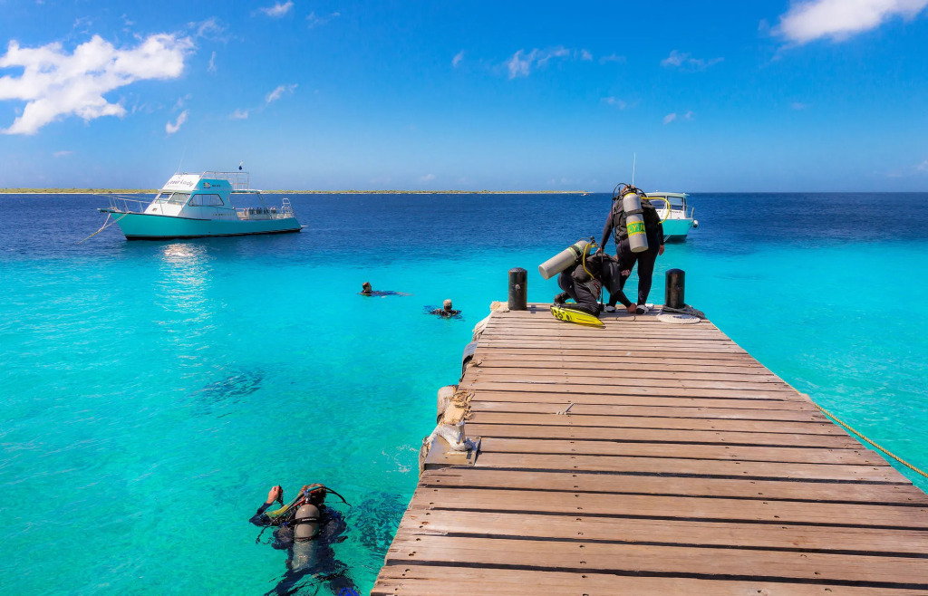 Buddy Dive Resort