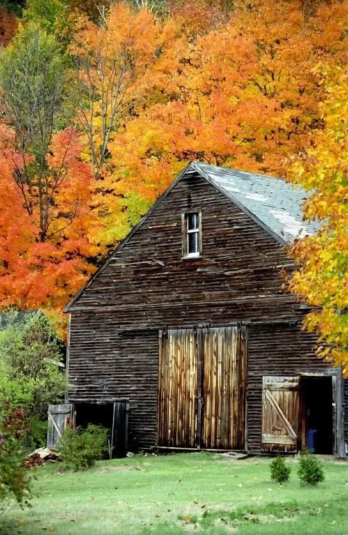 The Maples at Warner