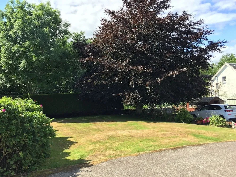 Kathmore Guest House