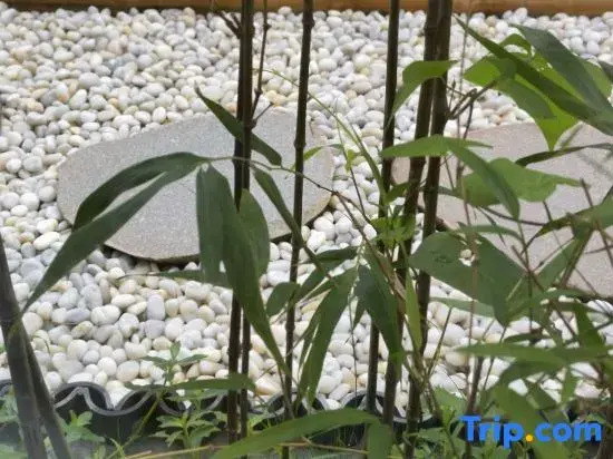 Wuyi Mountain Yuanshe Homestay