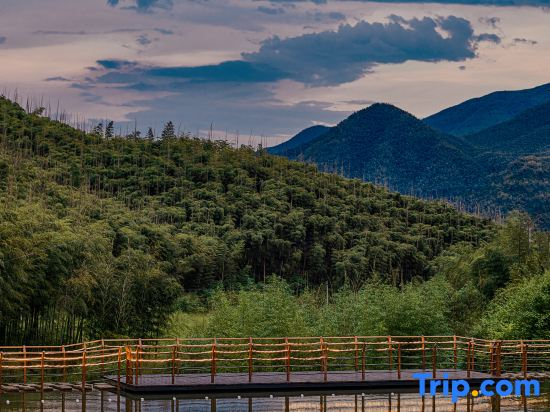Tingjian·Shanchuan Luxury Wild Stream Trekking Homestay (Anji Cloud Grassland Branch)