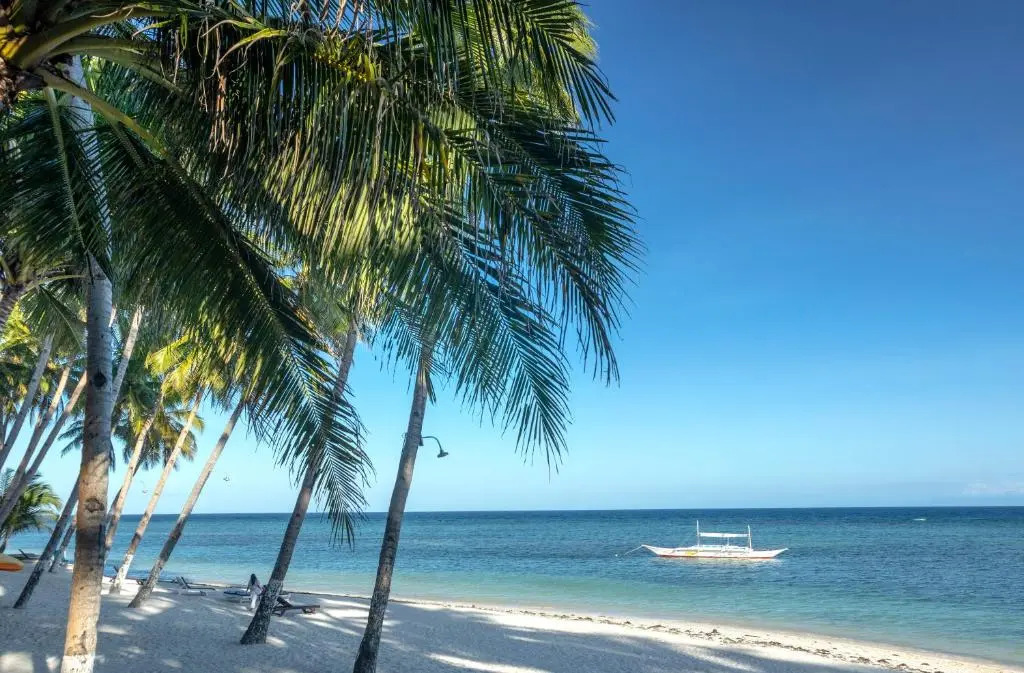 Three Little Birds Resort