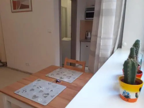 Central Prague Apartment Sokolovska