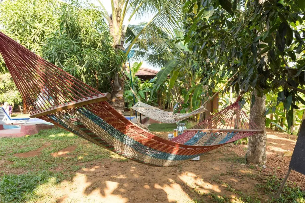 The Hammock Goa