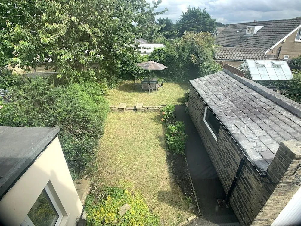 CrowTrees