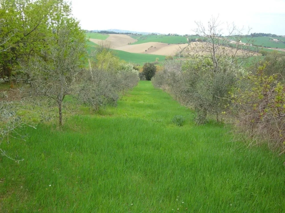 Oasi Bio Verde Marina