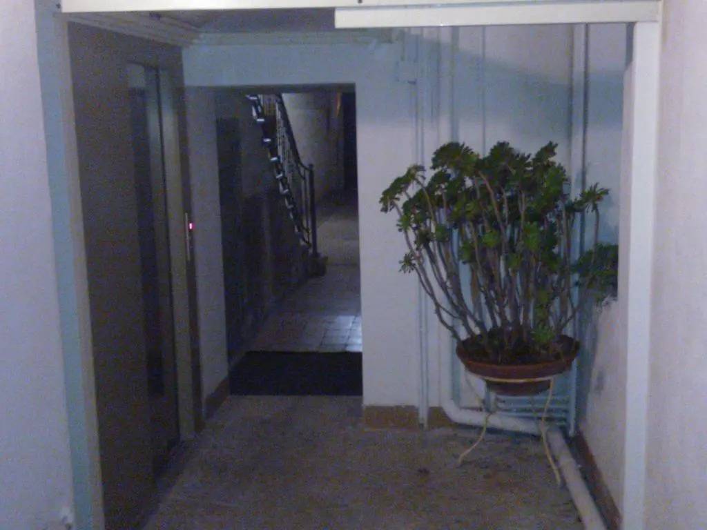 Interno 3
