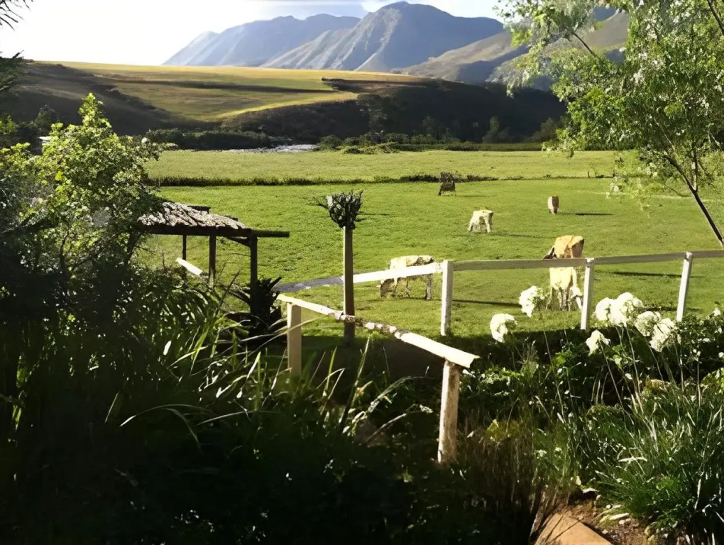 Arumvale Country Retreat