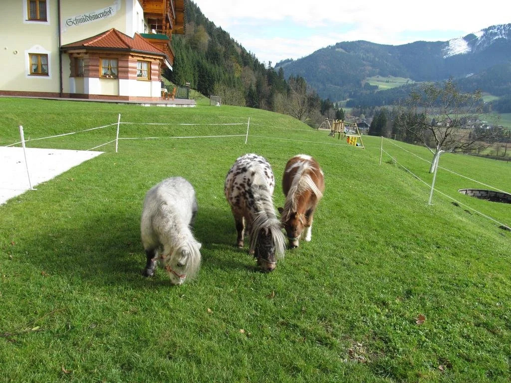 Am Ferienbauernhof Schmiedbauer com Salzkammergut