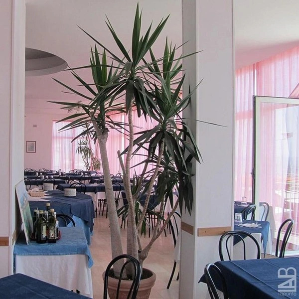 Hotel Continental